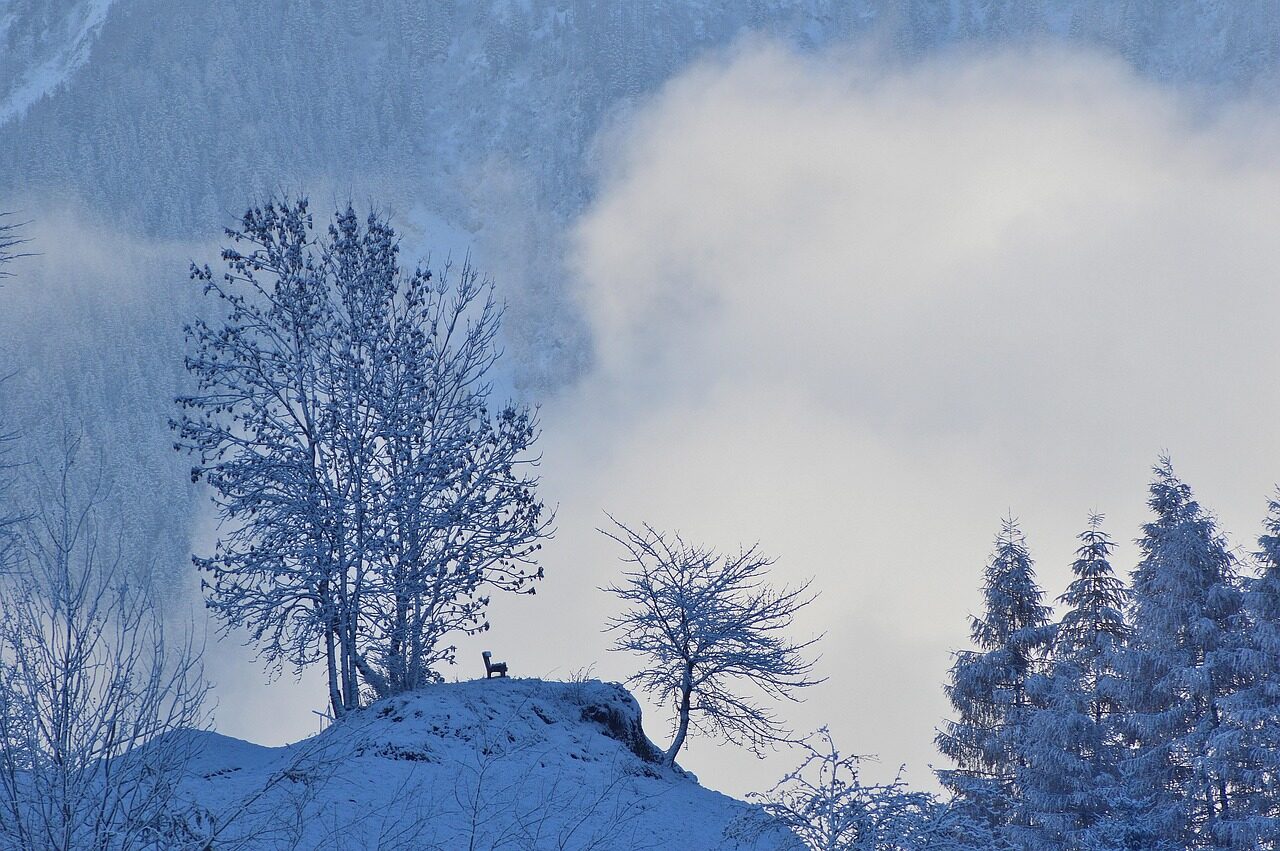 Verschneite Bäume im Nebel bei Haderlehn oberhalb von Sautens, dahinter zieht die Wolke über den Hang.